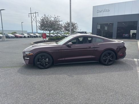 Used 2018 Ford Mustang GT Premium w/ Equipment Group 401A RWD image 4