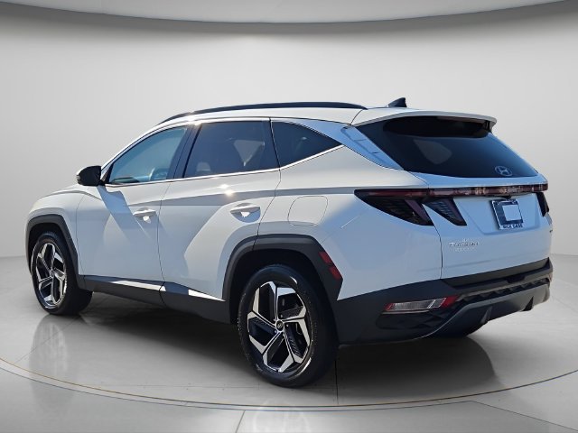 Used 2023 Hyundai Tucson Limited AWD/4WD image 6