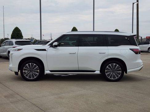 Used 2026 INFINITI QX80 Luxe w/ Cargo Package RWD image 4