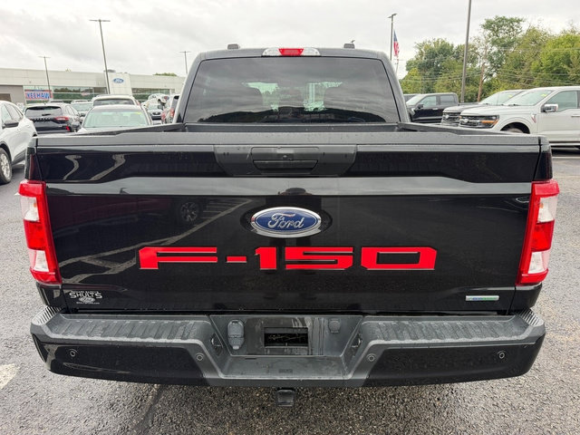 Used 2021 Ford F150 XL w/ STX Appearance Package AWD/4WD image 5