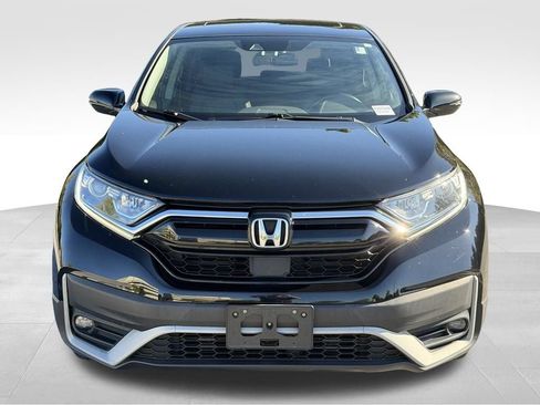 Used 2020 Honda CR-V EX-L image 2