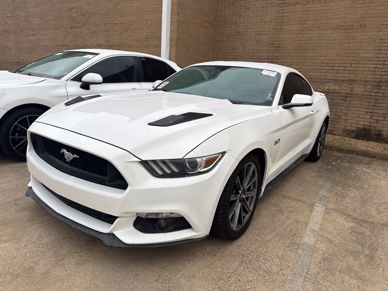 Used 2017 Ford Mustang GT Premium w/ Equipment Group 401A RWD image 1