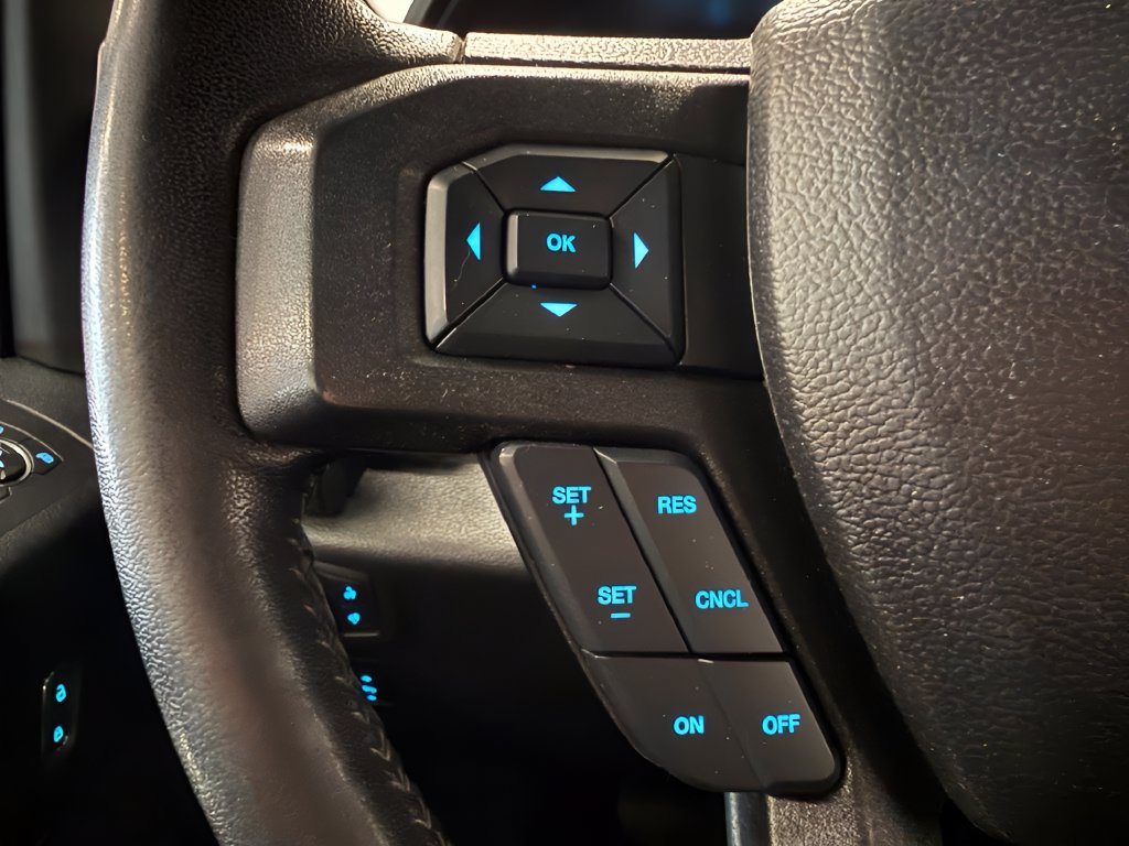 Used 2019 Ford F150 XLT w/ Equipment Group 302A Luxury AWD/4WD image 18