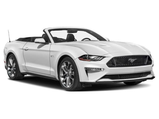 Used 2019 Ford Mustang GT Premium w/ Equipment Group 401A RWD image 9