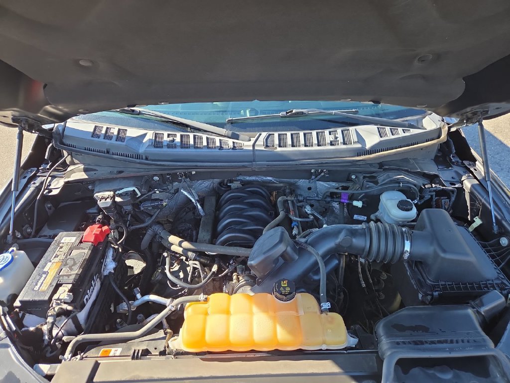 Used 2016 Ford F150 XLT w/ Equipment Group 301A Mid AWD/4WD image 23