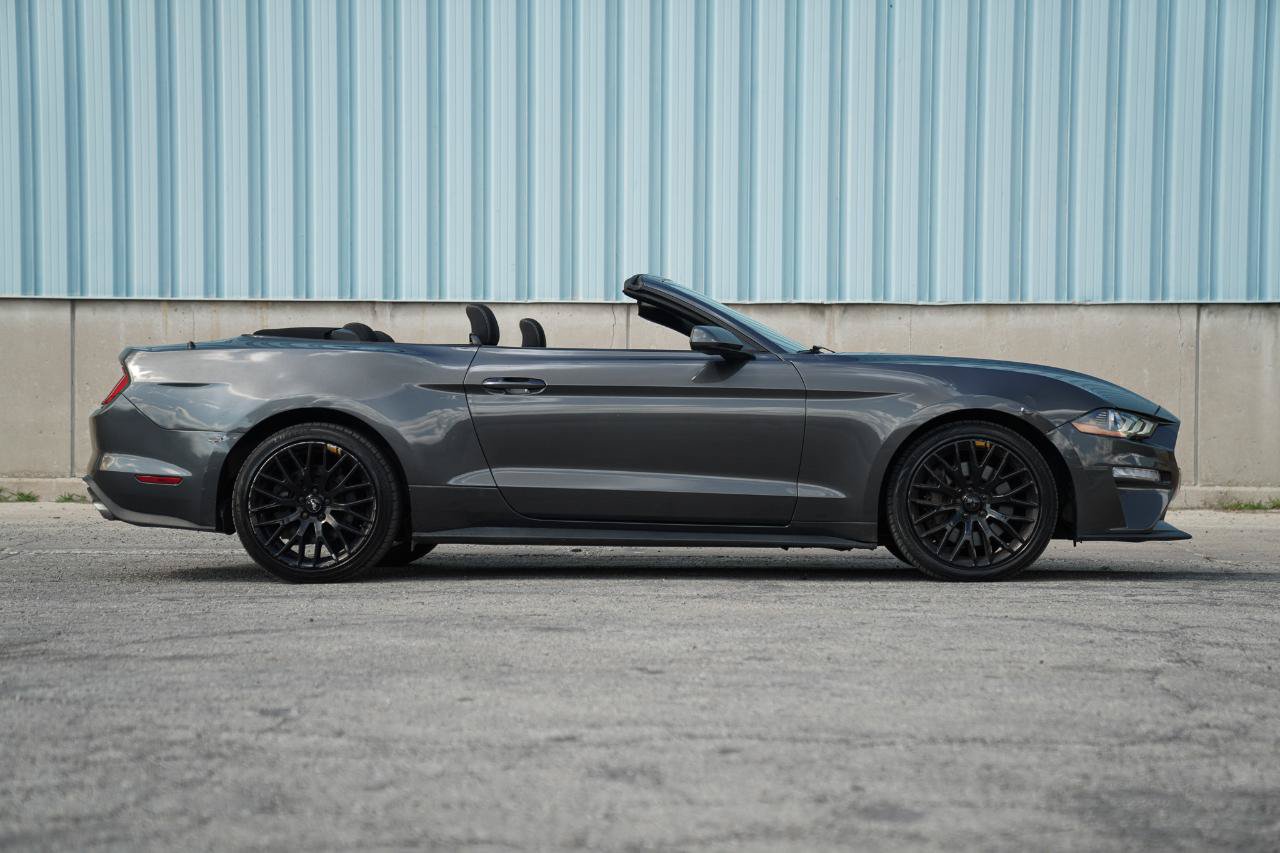 Used 2018 Ford Mustang Convertible w/ Ecoboost Performance Package RWD image 7