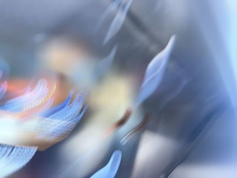 Used 2025 Ford F350 Platinum image 2