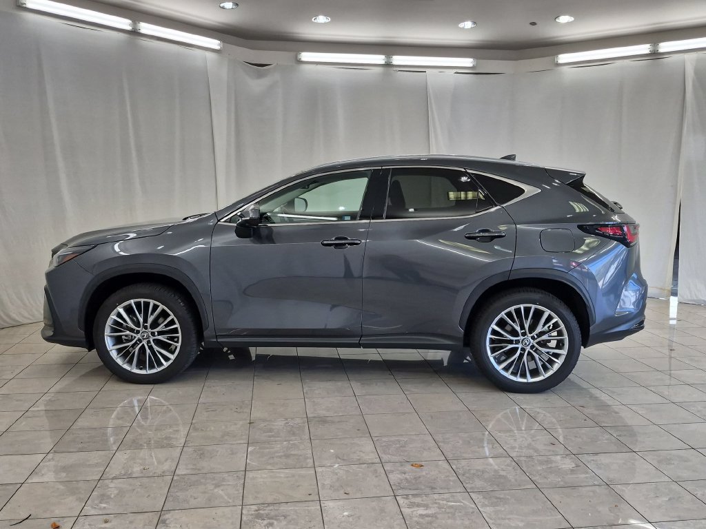 Certified 2026 Lexus NX 350h AWD w/ Accessory Package (2T) image 5