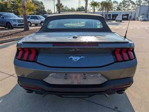 Used 2024 Ford Mustang Premium image 4