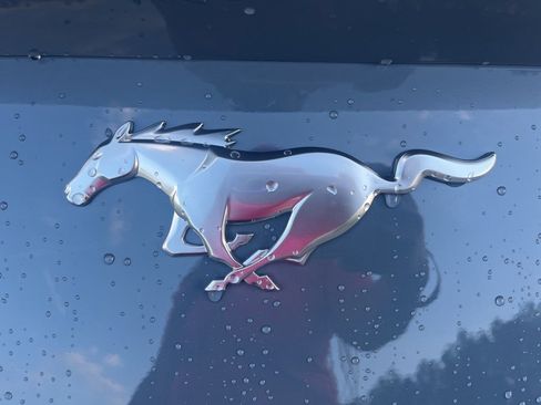 New 2025 Ford Mustang Coupe image 15