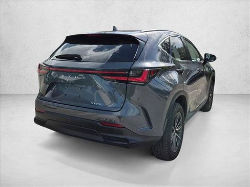 Used 2024 Lexus NX 250 FWD w/ Cold Area Package image 5