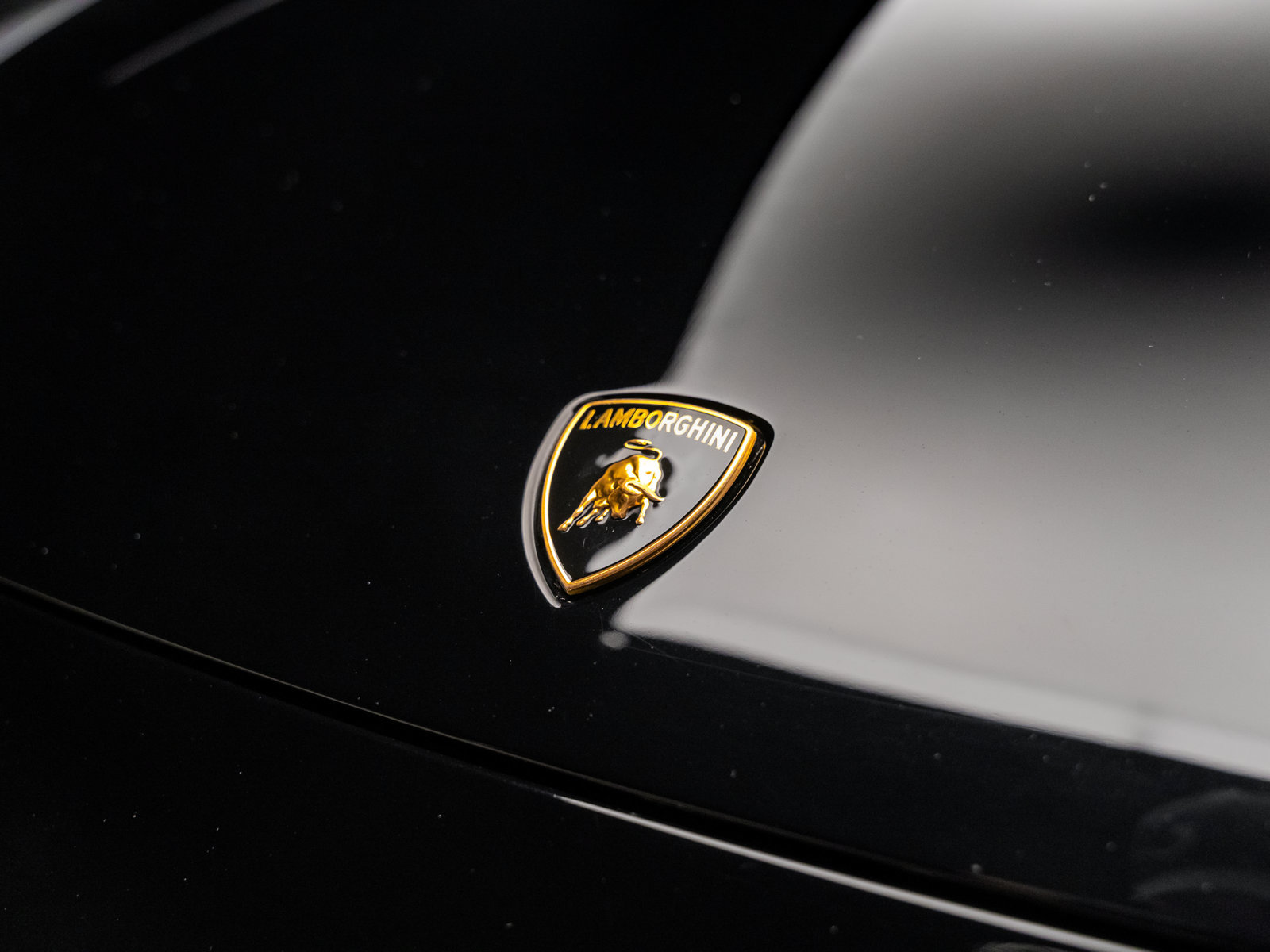 Used 2008 Lamborghini Gallardo Spyder AWD/4WD image 19