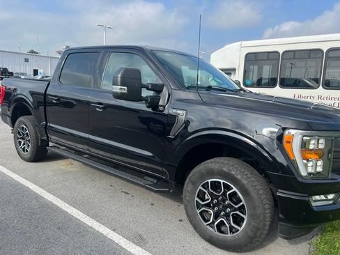 Used 2023 Ford F150 XLT w/ Equipment Group 302A High AWD/4WD image 7