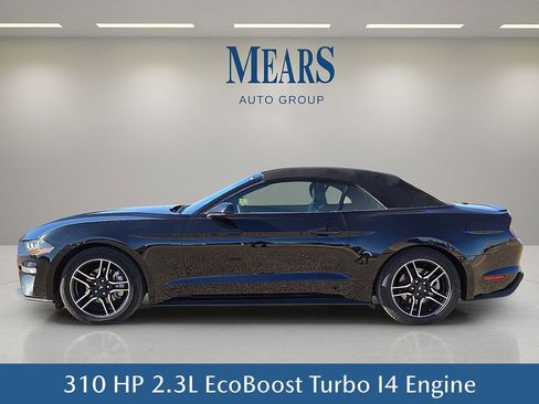 Used 2023 Ford Mustang Premium image 3