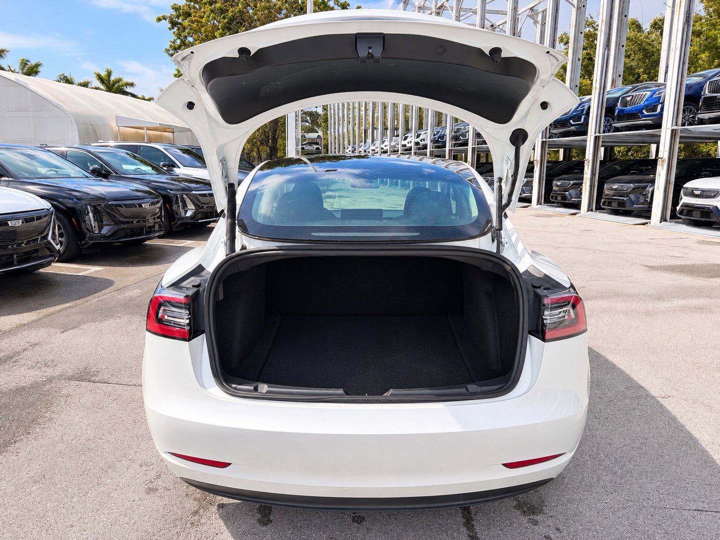 Used 2023 Tesla Model 3 Standard Range RWD image 5