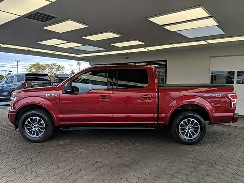 Used 2019 Ford F150 XLT w/ Equipment Group 302A Luxury image 5