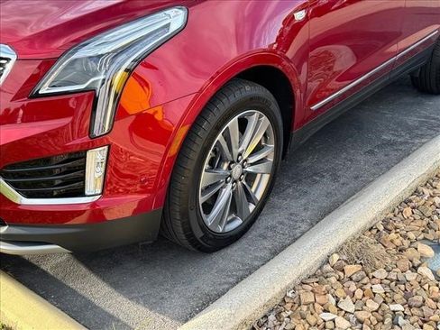 Used 2025 Cadillac XT5 Premium Luxury w/ Technology Package AWD/4WD image 4