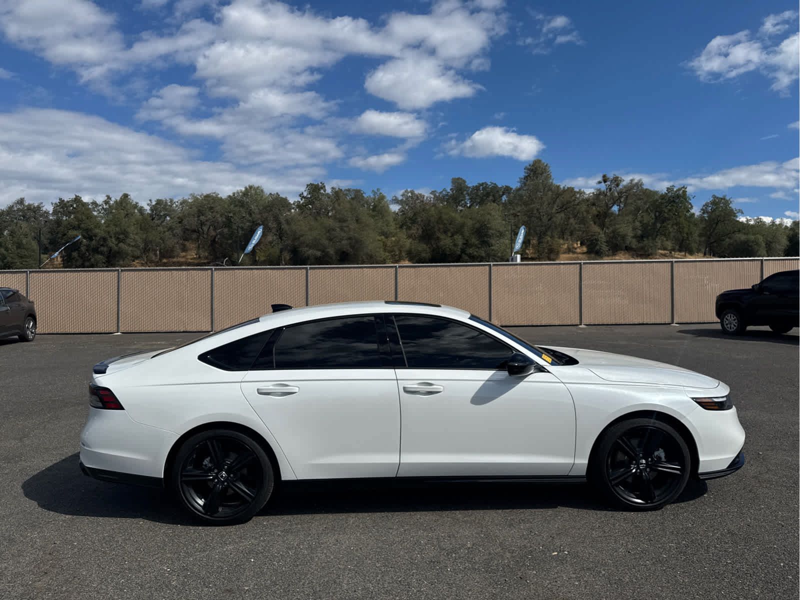 Used 2026 Honda Accord Sport image 4