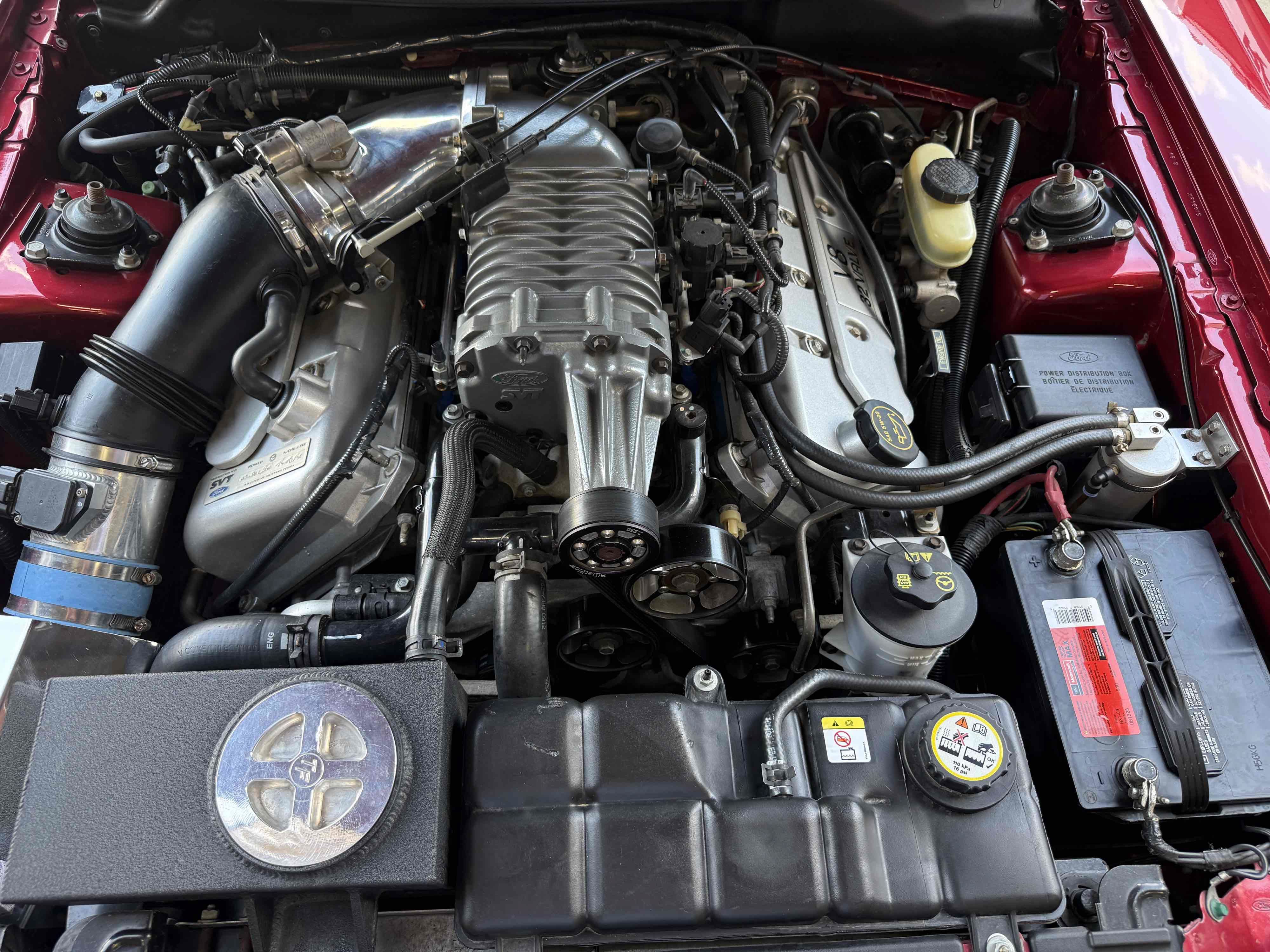 Used 2003 Ford Mustang Cobra RWD image 70