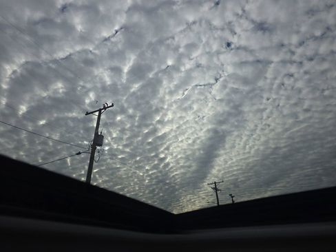 Used 2024 Toyota RAV4 Limited image 33