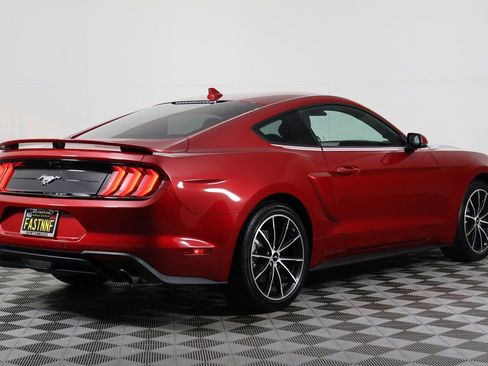 Used 2023 Ford Mustang Premium w/ Equipment Group 201A image 4