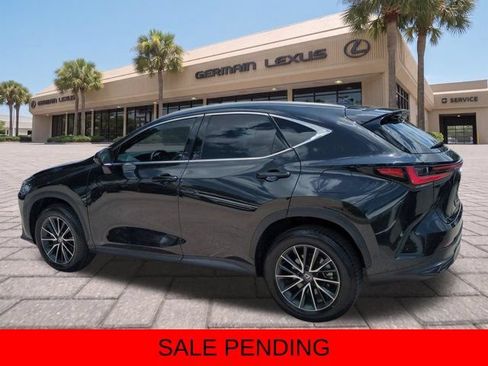 Certified 2024 Lexus NX 350h AWD w/ Vision Package image 6