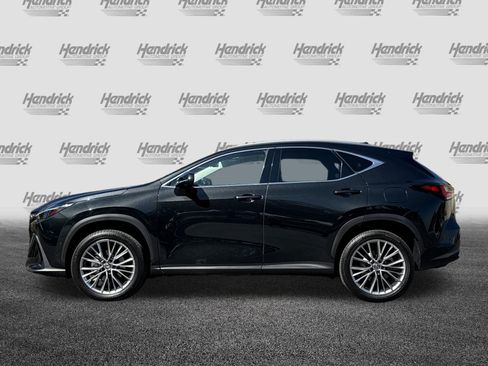 Used 2024 Lexus NX 350h AWD w/ Vision Package image 8