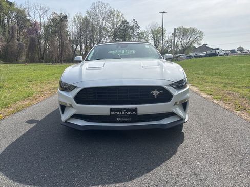 Used 2021 Ford Mustang GT Premium w/ California Special Package image 2