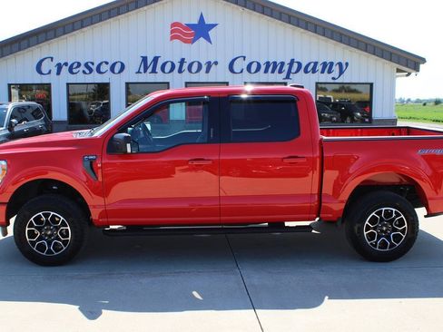 Used 2023 Ford F150 XLT w/ Equipment Group 302A High AWD/4WD image 8