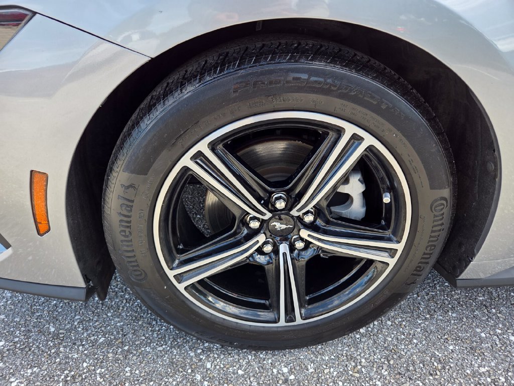 Used 2024 Ford Mustang Premium RWD image 17