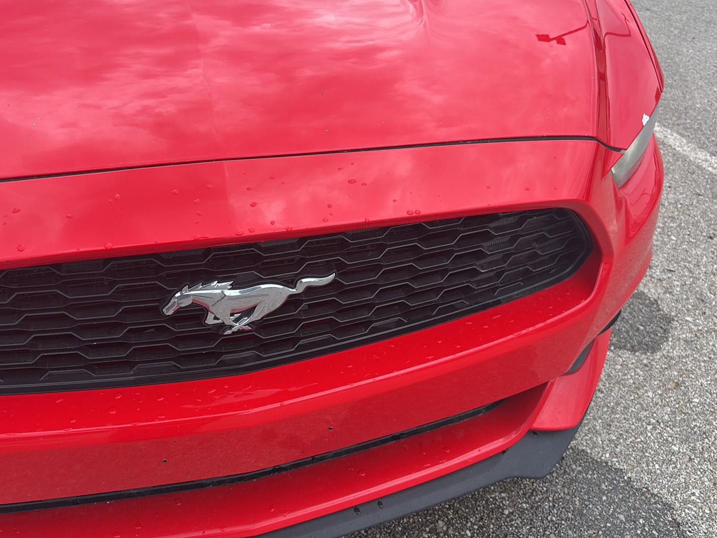 Used 2016 Ford Mustang Premium RWD image 25