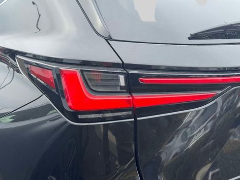 Certified 2024 Lexus NX 250 250 Base w/ Cold Area Package image 14