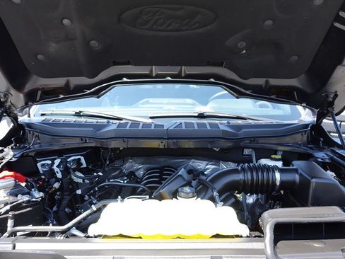 Used 2024 Ford F150 XLT w/ Equipment Group 303A High AWD/4WD image 63