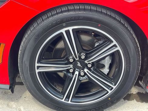 Used 2024 Ford Mustang Premium RWD image 14