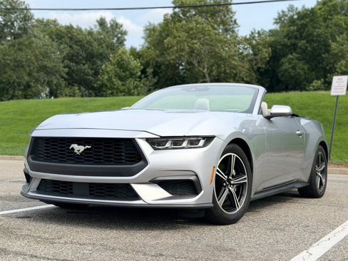 Used 2024 Ford Mustang Premium RWD image 1