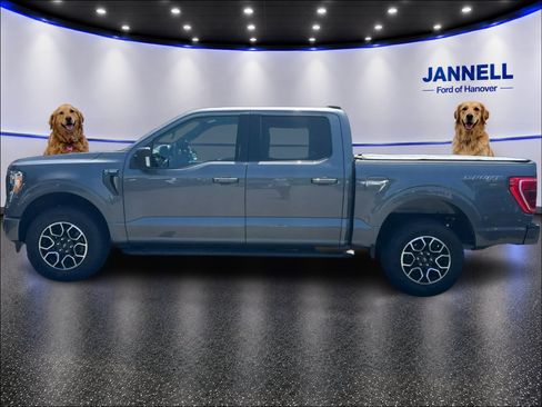 Used 2023 Ford F150 XLT w/ Equipment Group 302A High AWD/4WD image 9