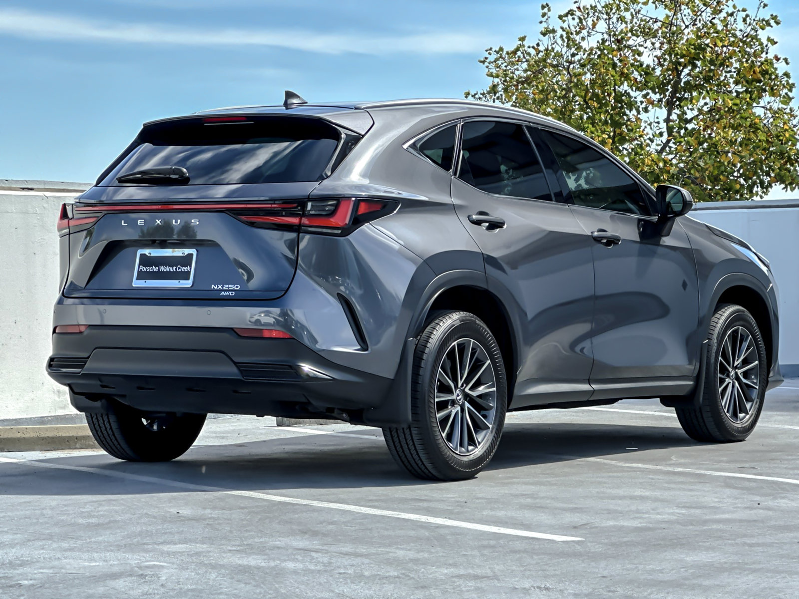 Used 2024 Lexus NX 250 AWD w/ Cold Area Package image 9
