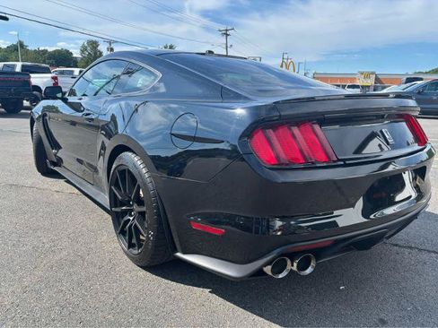 Used 2016 Ford Mustang Shelby GT350 w/ Technology Package RWD image 5