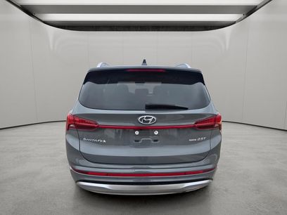 Used 2022 Hyundai Santa Fe Calligraphy