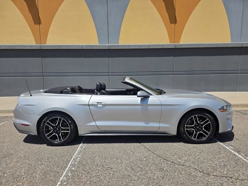 Used 2019 Ford Mustang Premium RWD image 2