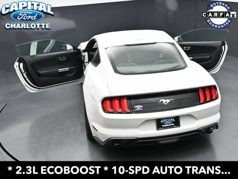 Used 2019 Ford Mustang Coupe RWD image 31
