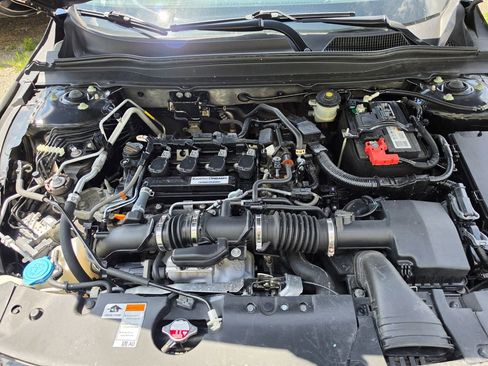 Used 2019 Honda Accord EX-L image 9