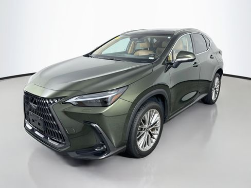 Used 2024 Lexus NX 350h AWD w/ Vision Package image 3