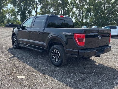 Used 2023 Ford F150 XLT w/ Equipment Group 302A High AWD/4WD image 3