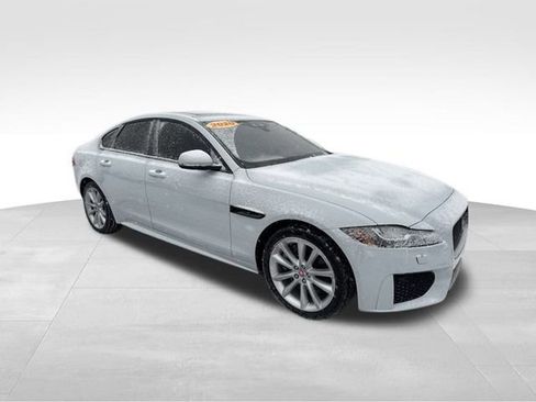 Used 2020 Jaguar XF Checkered Flag image 3