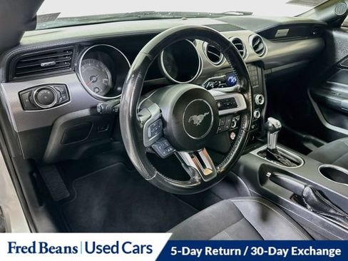 Used 2019 Ford Mustang GT w/ Ford Safe & Smart Package RWD image 13