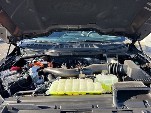 New 2025 Ford F150 XLT w/ Equipment Group 302A MID image 40