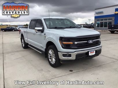 Used 2024 Ford F150 XLT w/ Equipment Group 303A High