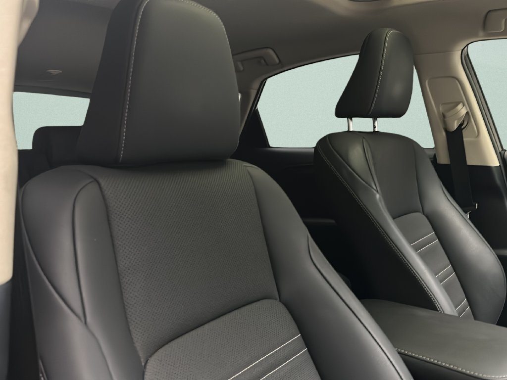 Used 2020 Lexus NX 300h AWD w/ Premium Package image 18