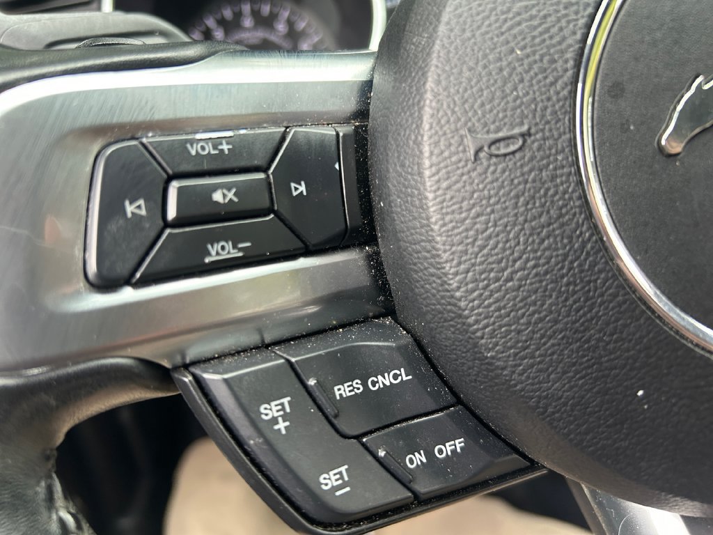 Used 2019 Ford Mustang Premium RWD image 22